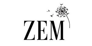 zem-logo